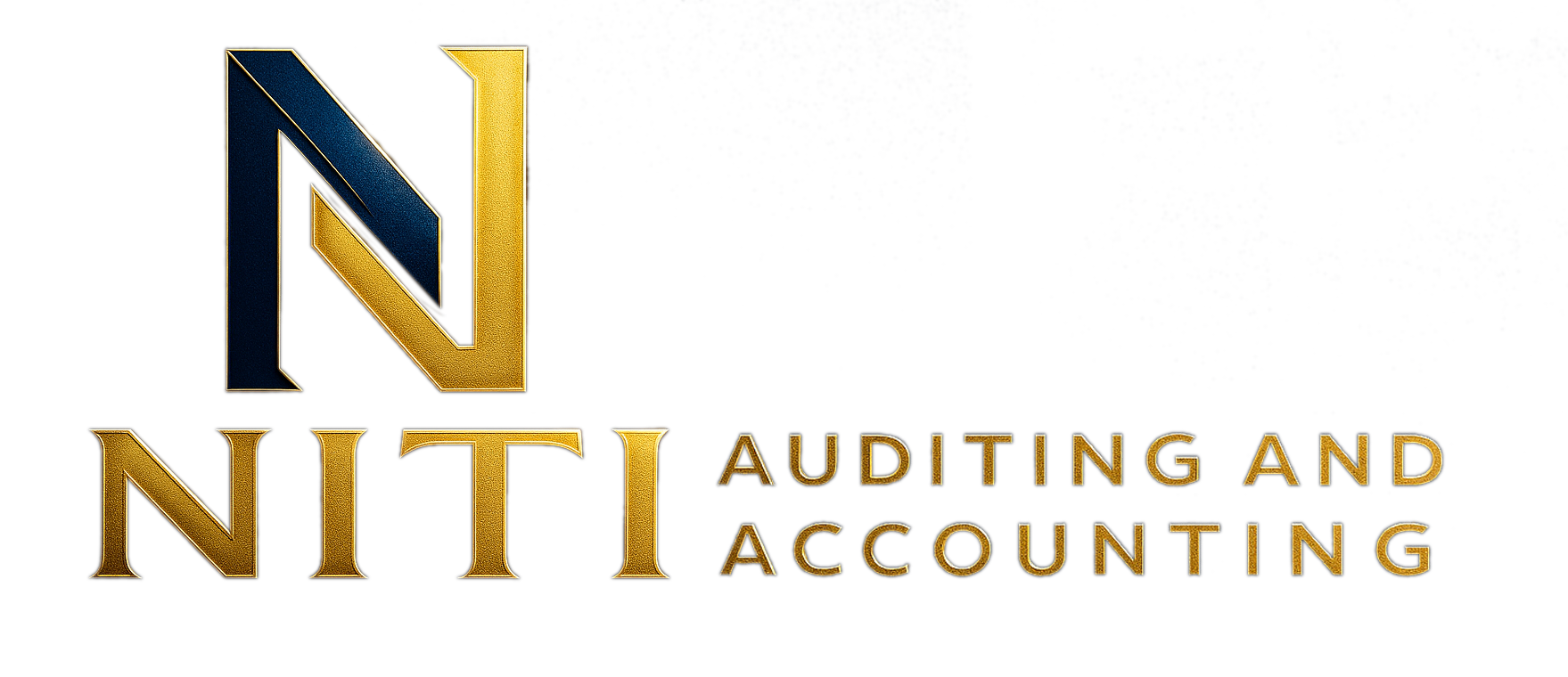 Niti Auditing Logo